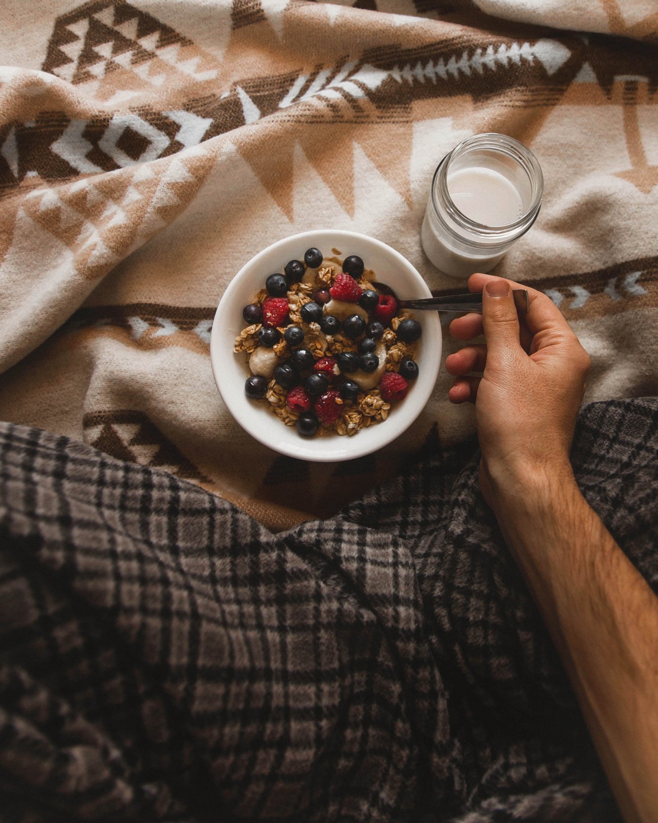 Understanding The Immune System: An Brief Insight on Our Body's Defenses