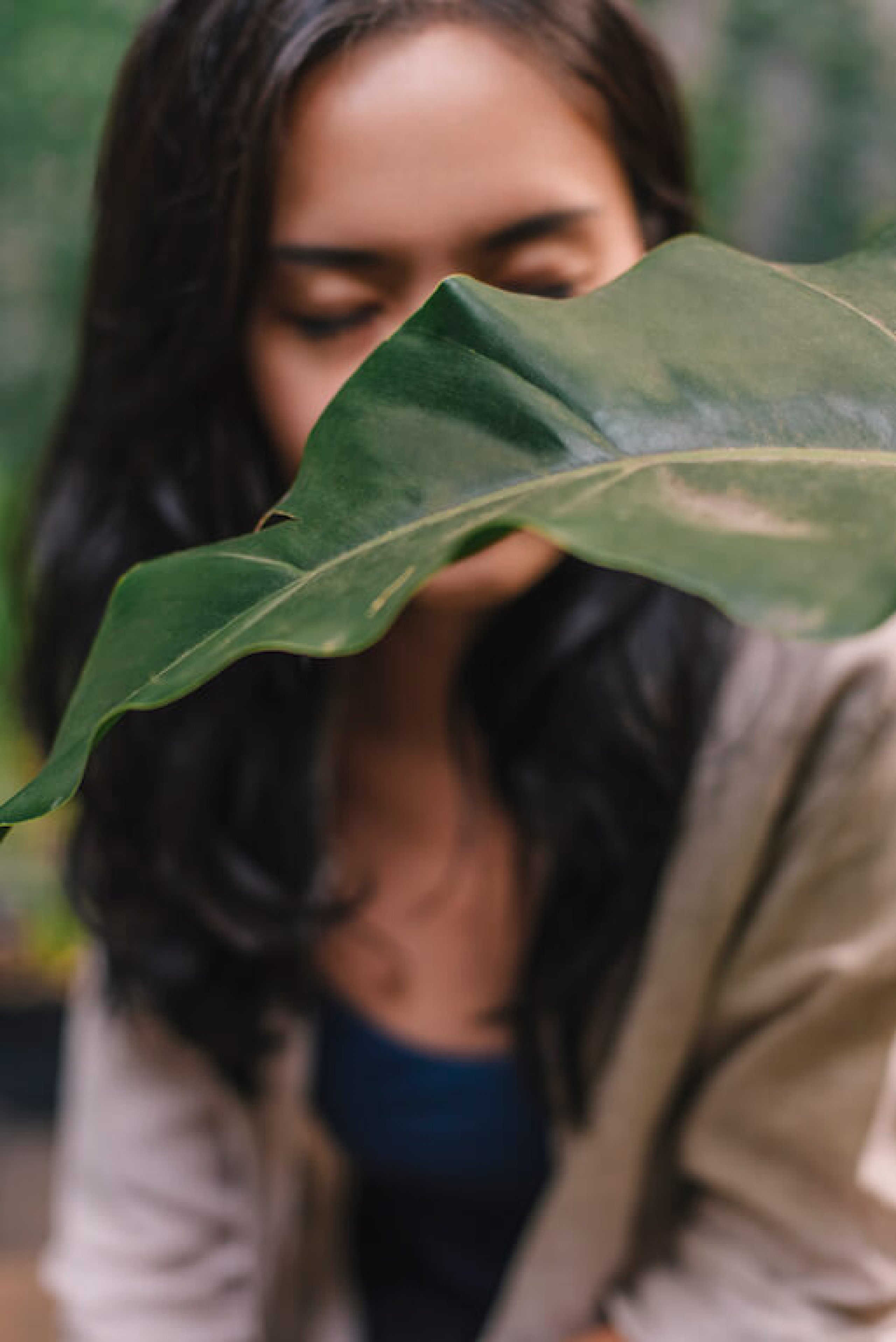 How Antioxidants Delay the Skin Aging Process Herbana